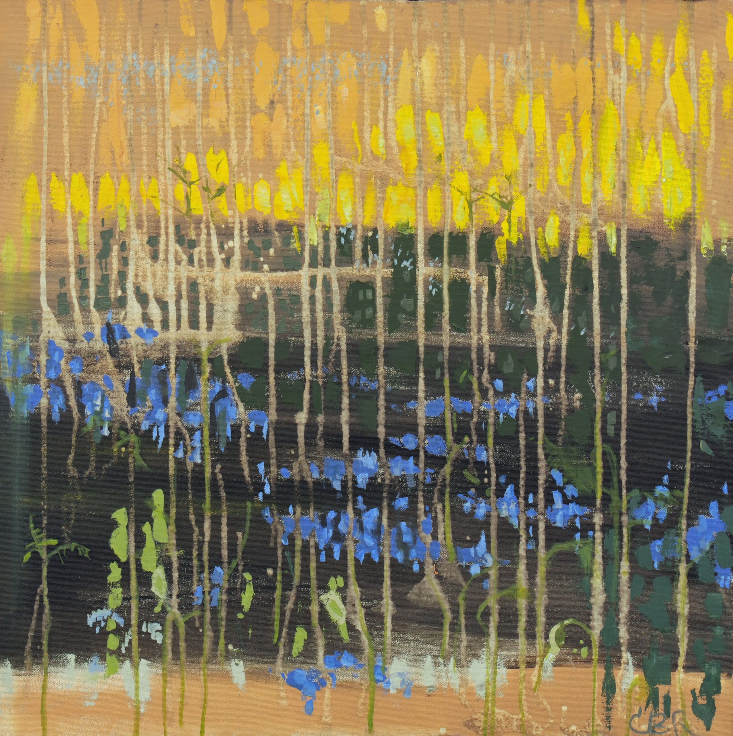 Caron Buckingham-Rhyder