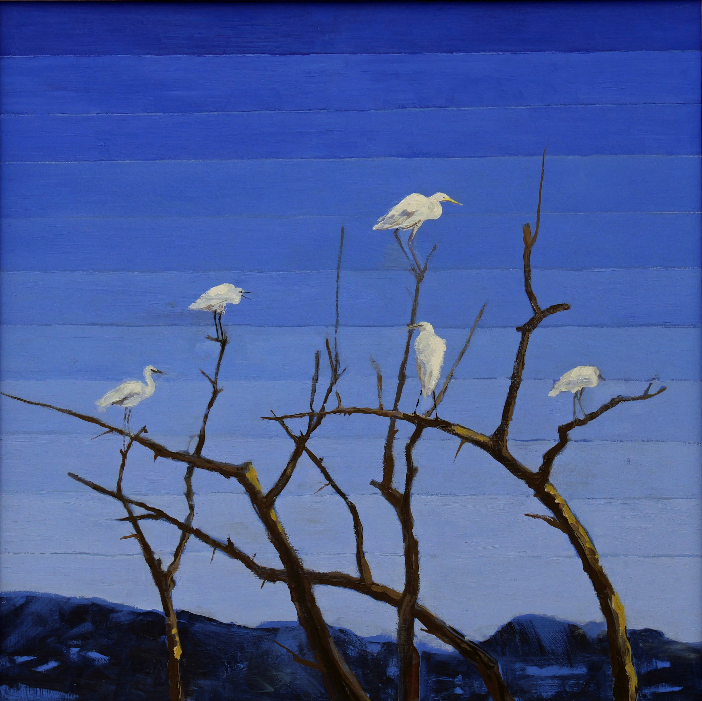 Caron Buckingham-Rhyder