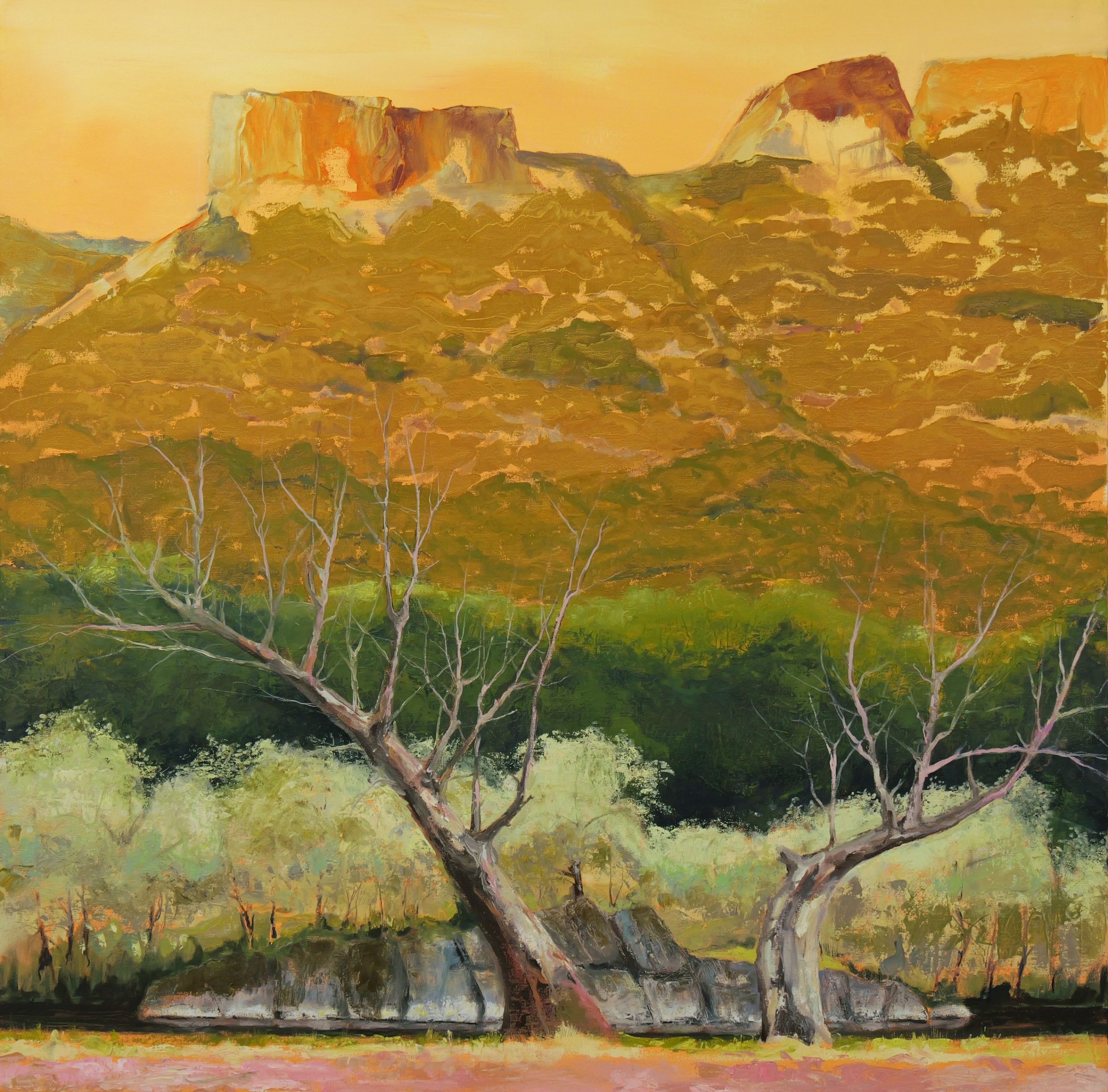 Caron Buckingham-Rhyder