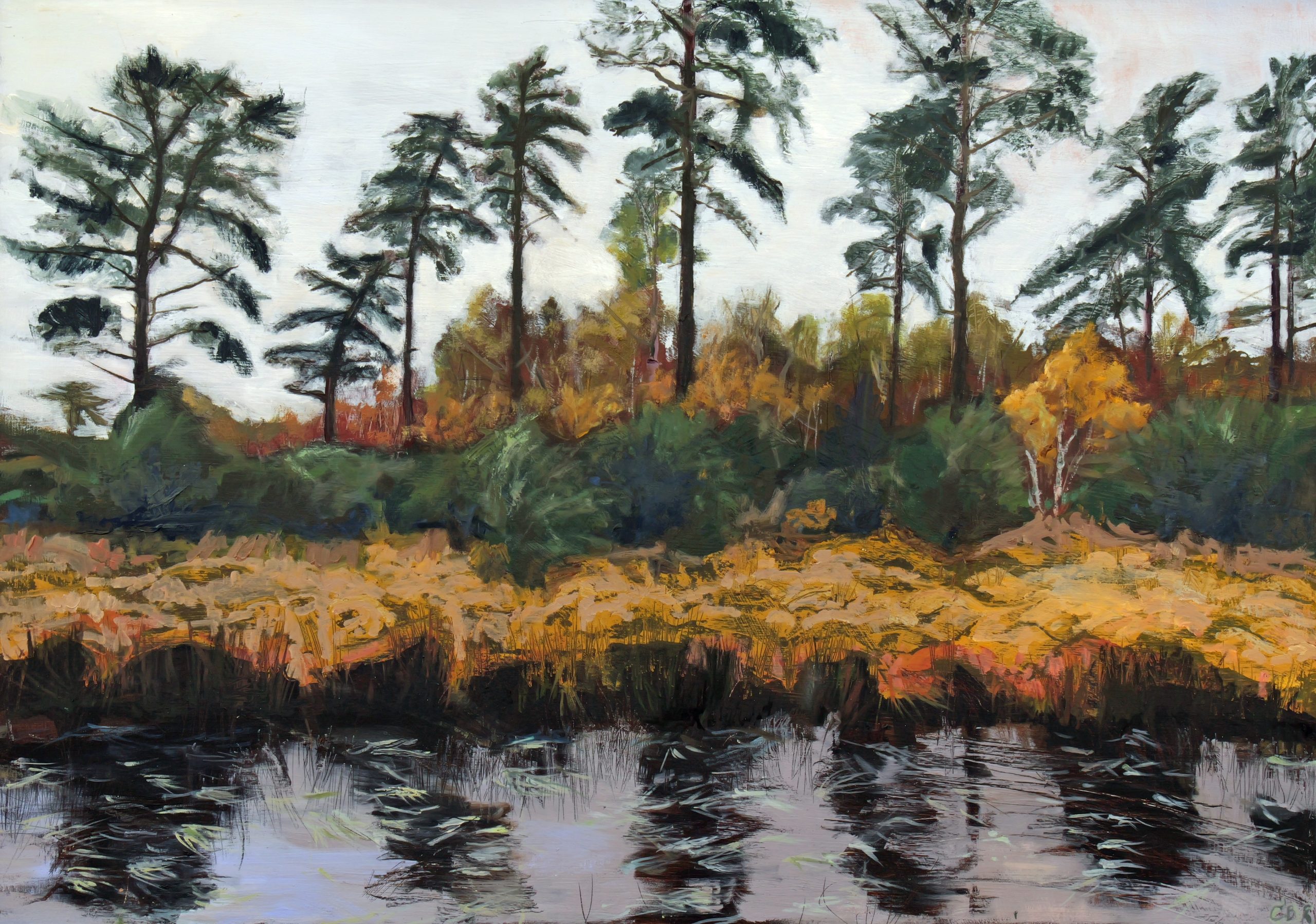 Caron Buckingham-Rhyder