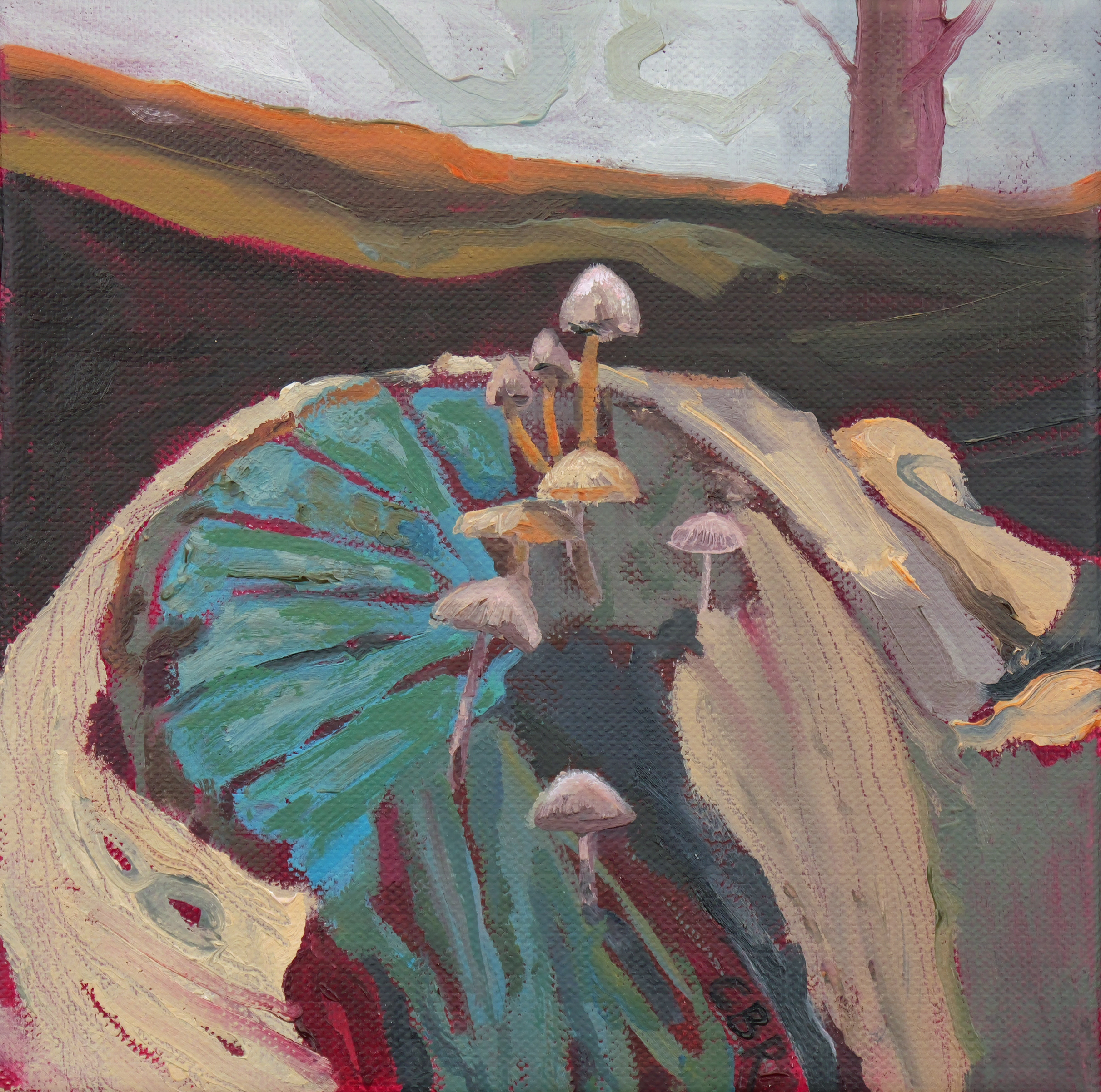 Caron Buckingham-Rhyder