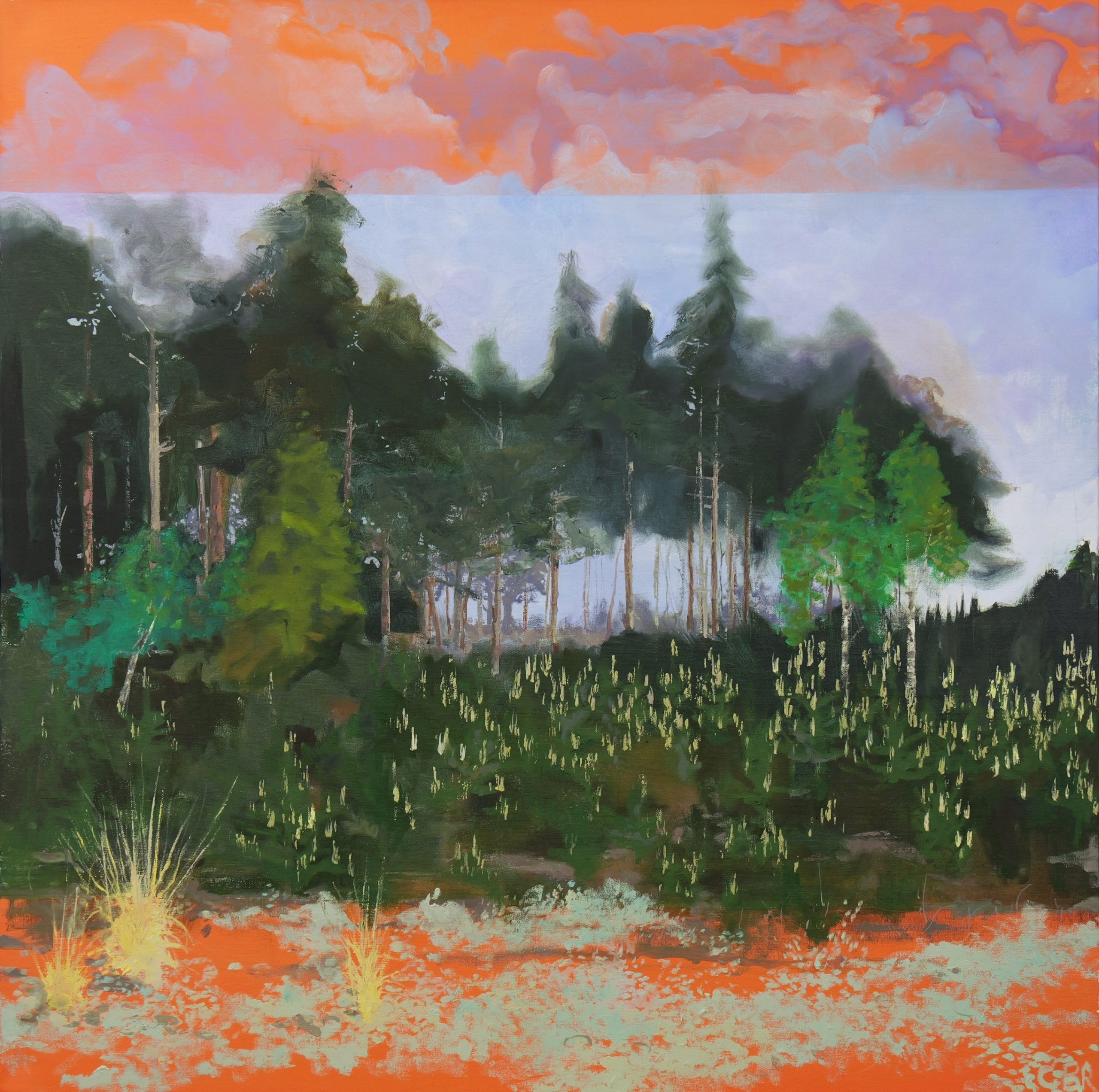 Caron Buckingham-Rhyder